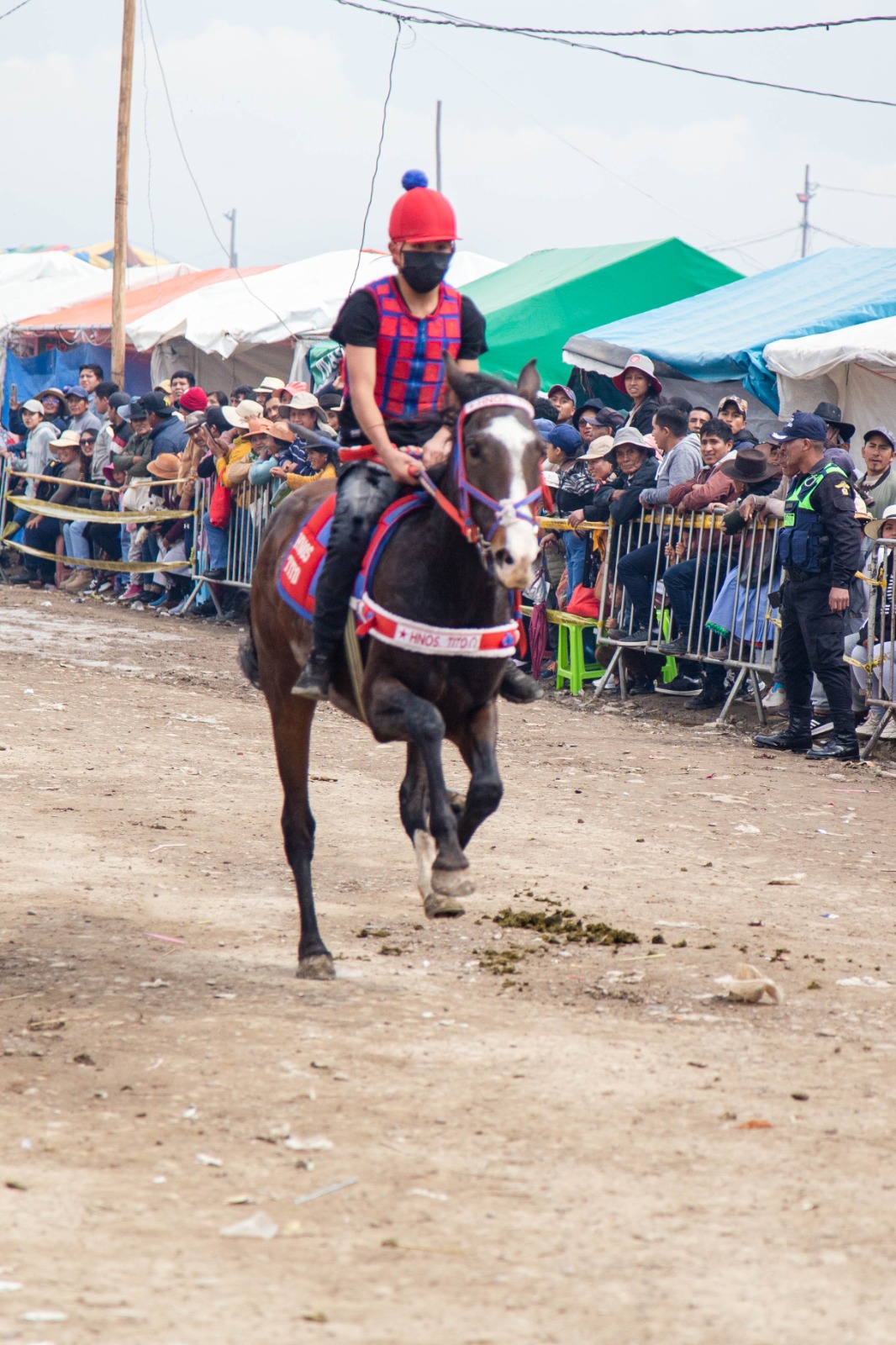 WhatsApp Image 2023-04-17 at 6.34.40 PM