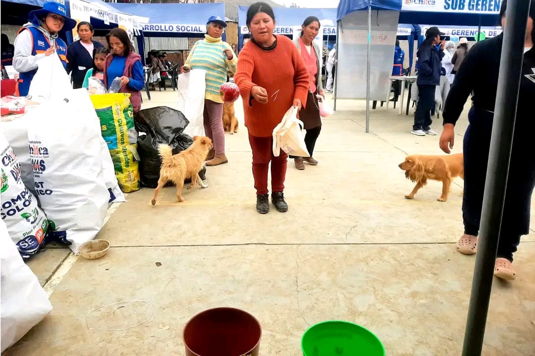 WhatsApp Image 2023-10-03 at 11.41.30 AM (1) WhatsApp Image 2023-10-03 at 11.41.30 AM (1)