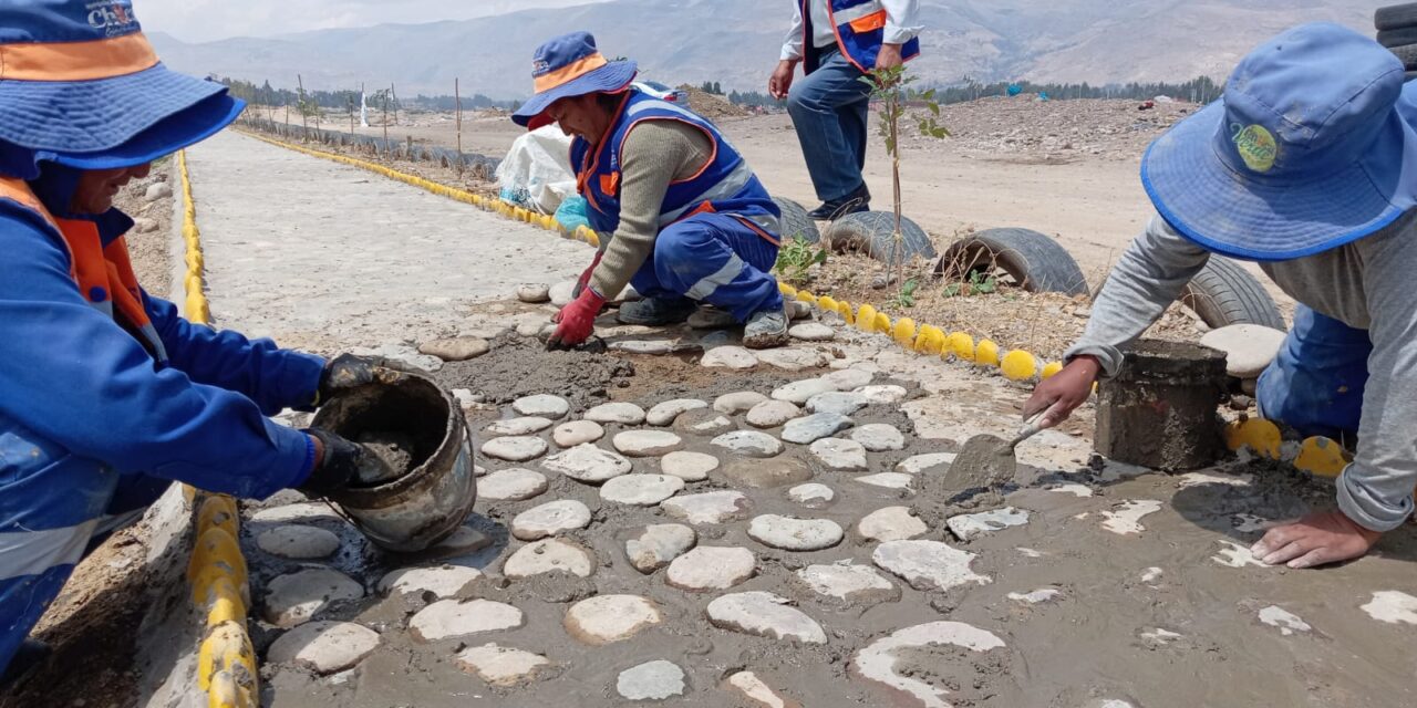PROGRAMA MUNICIPAL BUSCA PLANTAR 40 MIL PLANTONES EN CHILCA