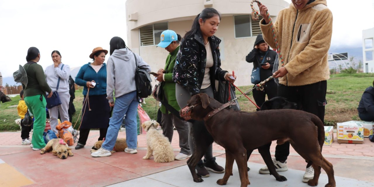 CHILCA REALIZARÁ CAMPAÑA DE ESTERILIZACIÓN Y CASTRACIÓN PARA PERROS Y GATOS DEL 25 AL 27 DE MARZO