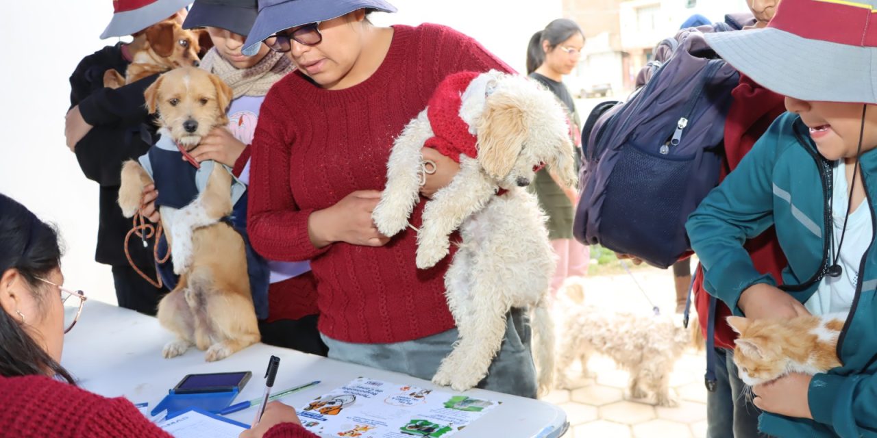 Chilca realizará empadronamiento de perros y gatos para fortalecer campañas de esterilización