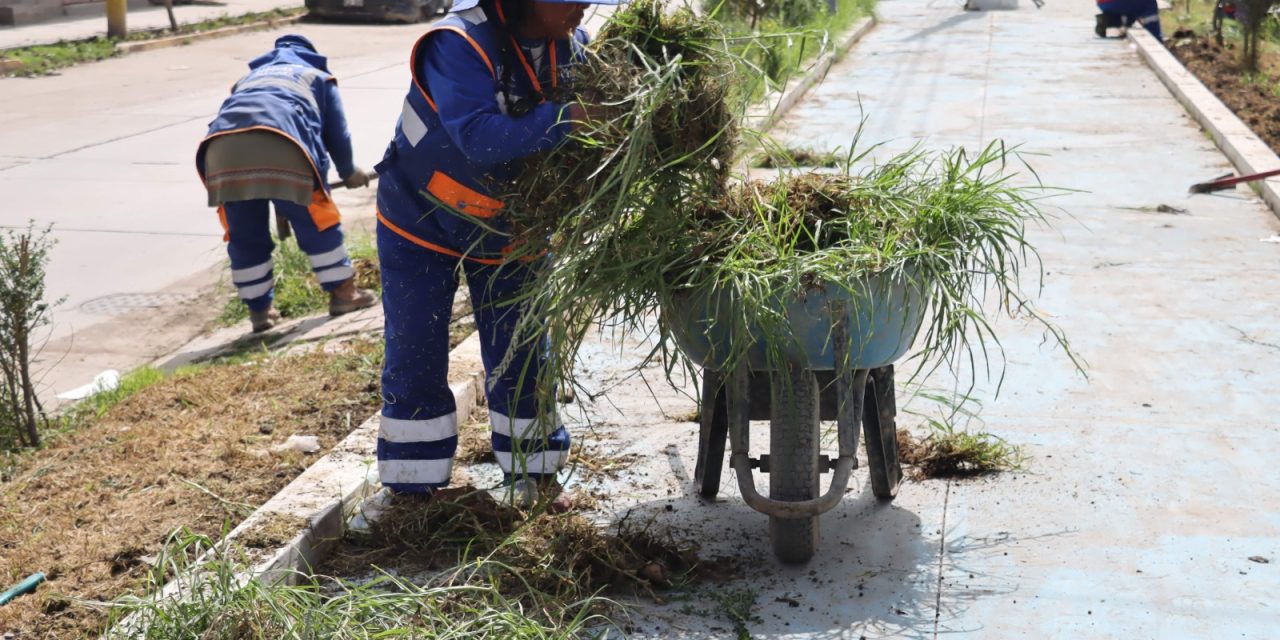 Programa Chilca Verde refuerza limpieza y mantenimiento de áreas verdes en el distrito